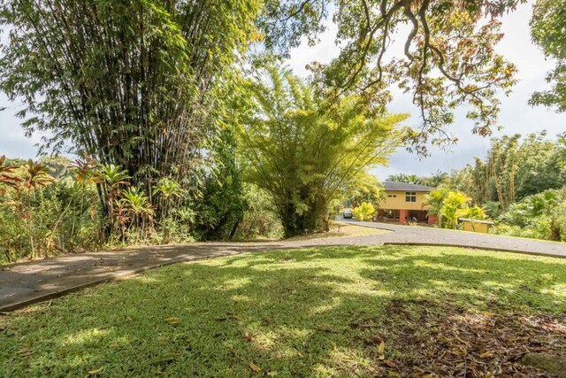 27-577 Old Mamalahoa Hwy Unit 2, Papaikou, HI 96781 - view of green lawn
