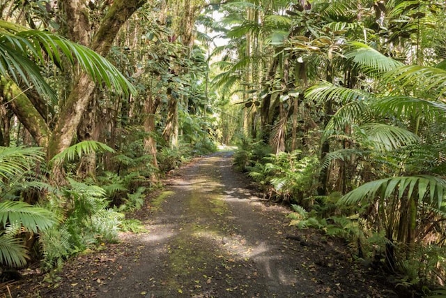 27-577 Old Mamalahoa Hwy Unit 2, Papaikou, HI 96781 - view of dirt / gravel road