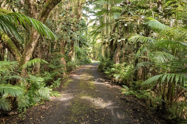 27-577 Old Mamalahoa Hwy Unit 2, Papaikou, HI 96781 - photo 19