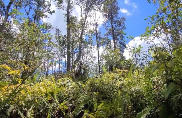 16-1301 Pulelehua Rd, Kurtistown, HI 96760 - photo 4