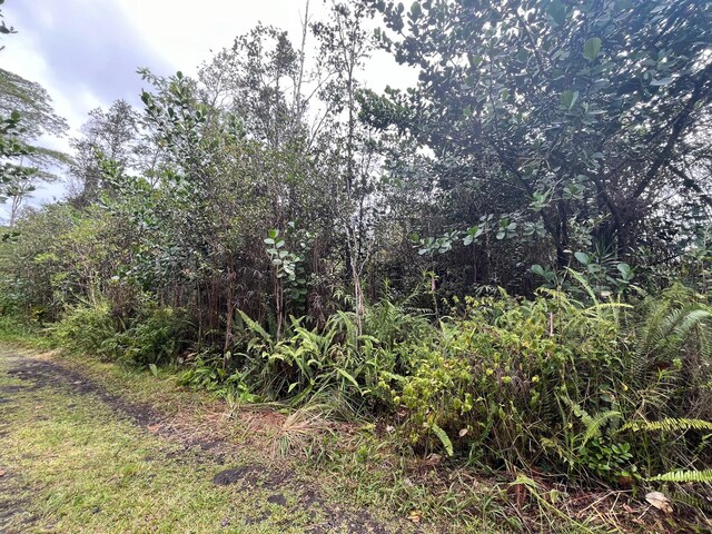 16-1301 Pulelehua Rd, Kurtistown, HI 96760 - photo 2