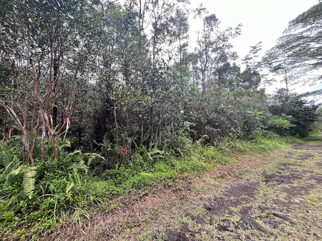16-1301 Pulelehua Rd, Kurtistown, HI 96760 - photo 3