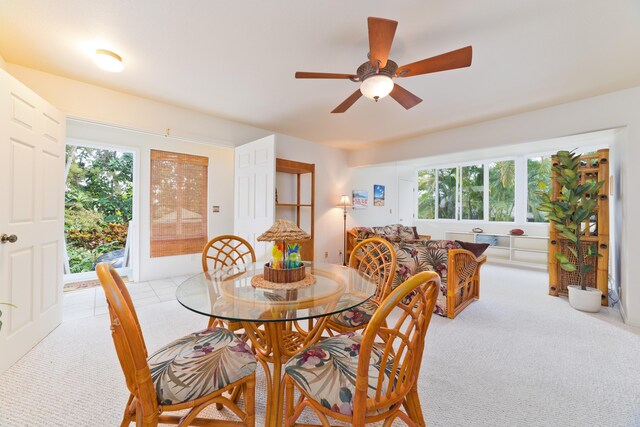 82-6011 Lower Napoopoo Rd, Captain Cook, HI 96704 - photo 16