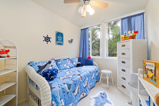 82-6011 Lower Napoopoo Rd, Captain Cook, HI 96704 - photo 18