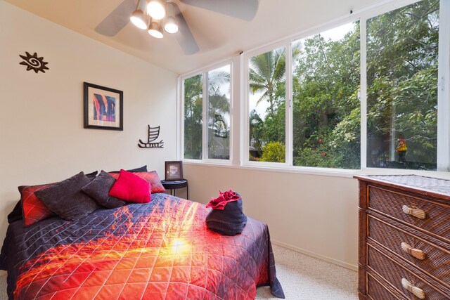 82-6011 Lower Napoopoo Rd, Captain Cook, HI 96704 - photo 19