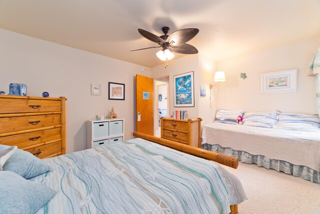 82-6011 Lower Napoopoo Rd, Captain Cook, HI 96704 - photo 21