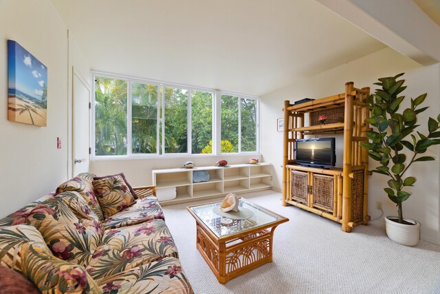 82-6011 Lower Napoopoo Rd, Captain Cook, HI 96704 - photo 17
