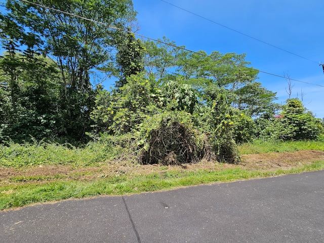 Kawakawa St, Pahoa, HI 96778 - photo 2