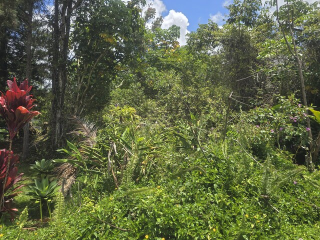 16-2073 Gardenia Dr, Pahoa, HI 96778