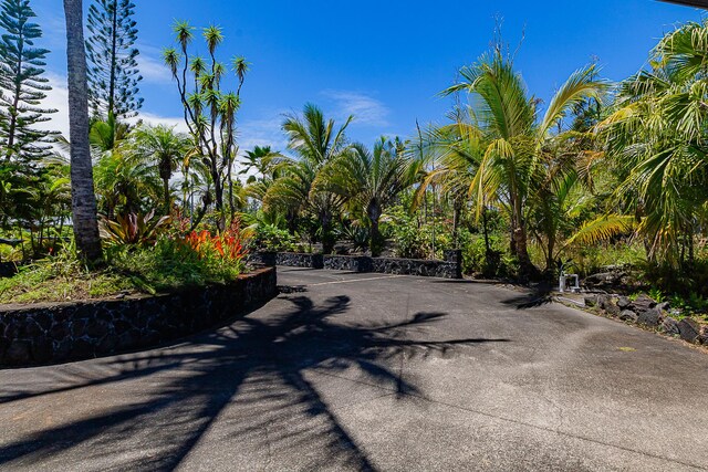 15-869 Lemiwai Rd, Keaau, HI 96749 - view of street