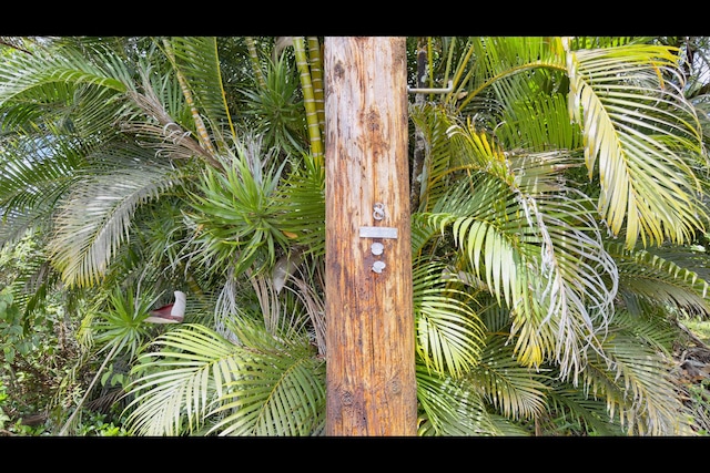 16-2095 Gardenia Dr, Pahoa, HI 96778