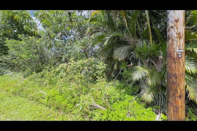 16-2095 Gardenia Dr, Pahoa, HI 96778