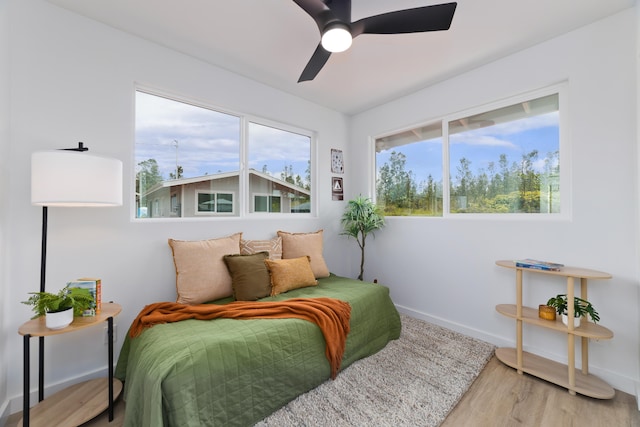 16-2072 Stardust Dr, Pahoa, HI 96778 - photo 15