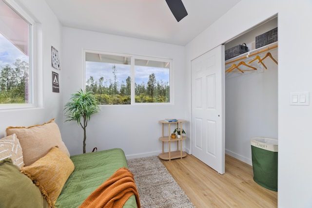 16-2072 Stardust Dr, Pahoa, HI 96778 - photo 16