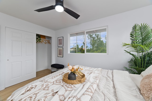 16-2072 Stardust Dr, Pahoa, HI 96778 - photo 18
