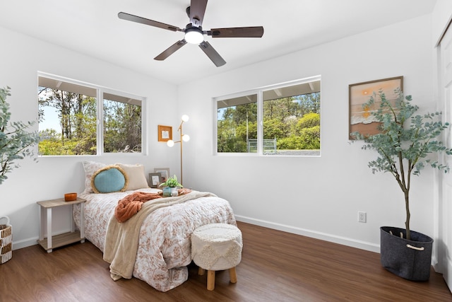 16-2093 Leilani Dr, Pahoa, HI 96778 - photo 10