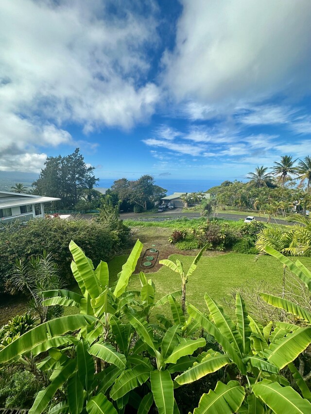 82-6073-A Hawaii Belt Rd Unit 11B, Captain Cook, HI 96704 - view of yard