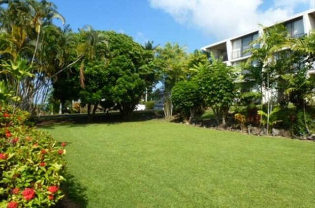 82-6073-A Hawaii Belt Rd Unit 11B, Captain Cook, HI 96704 - view of grassy yard