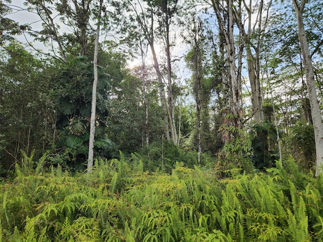 Kehau Rd, Pahoa, HI 96778