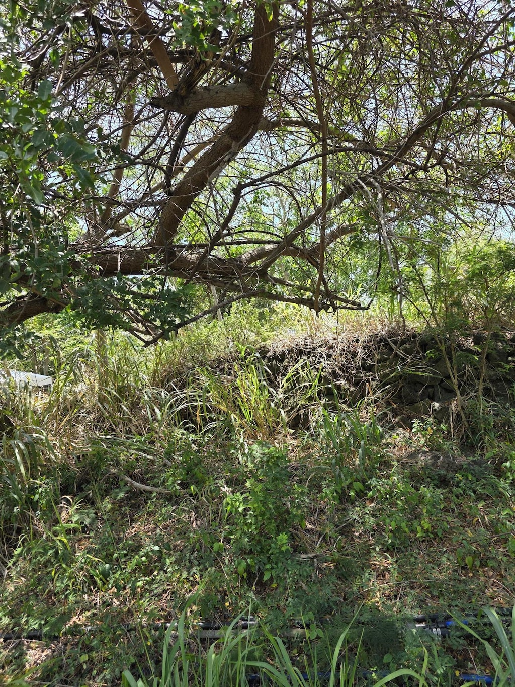 Mauka St, Naalehu, HI 96772