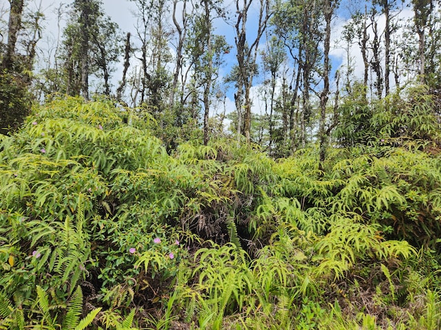Molokai Rd, Pahoa, HI 96778