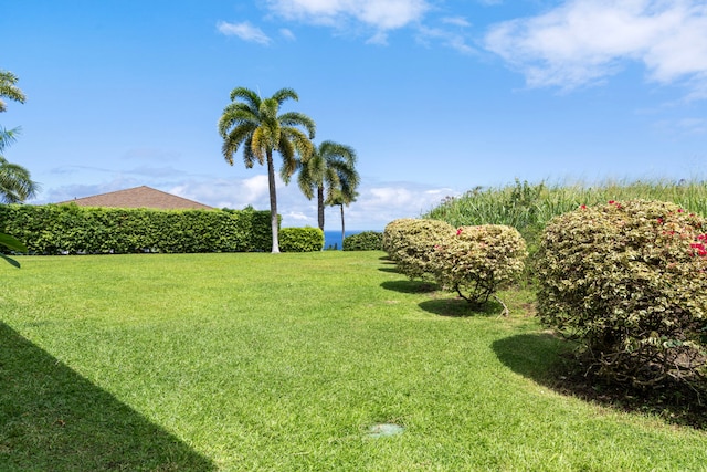 76-6398 Pualani St Unit 7, Kailua-Kona, HI 96740 - view of green lawn
