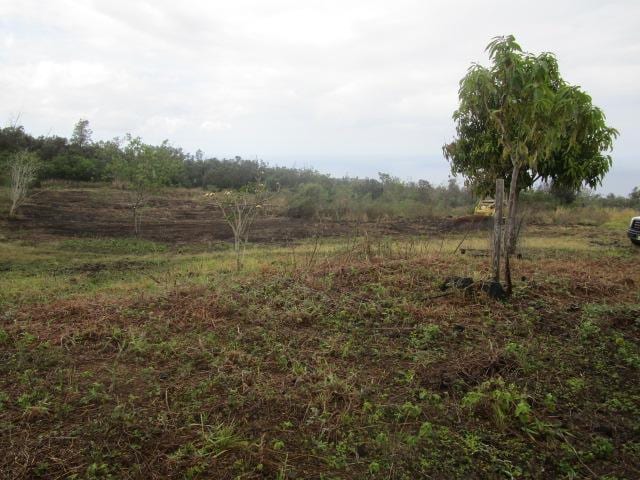 89-902 Rd Rd, Captain Cook, HI 96704 - view of yard