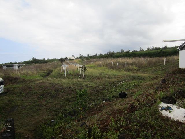 89-902 Rd Rd, Captain Cook, HI 96704 - view of yard