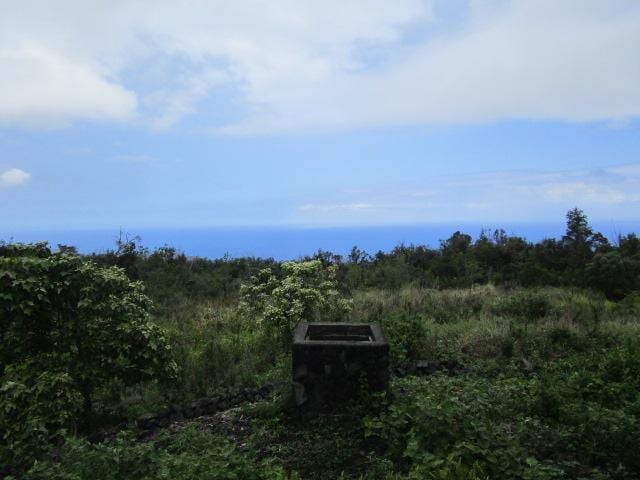 89-902 Rd Rd, Captain Cook, HI 96704 - view of yard