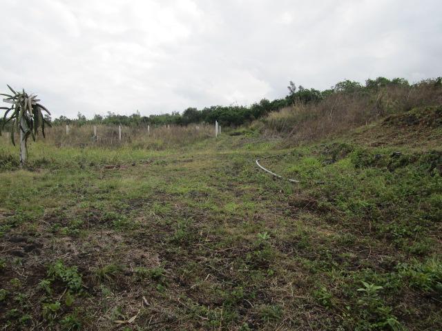 89-902 Rd Rd, Captain Cook, HI 96704 - view of undeveloped land