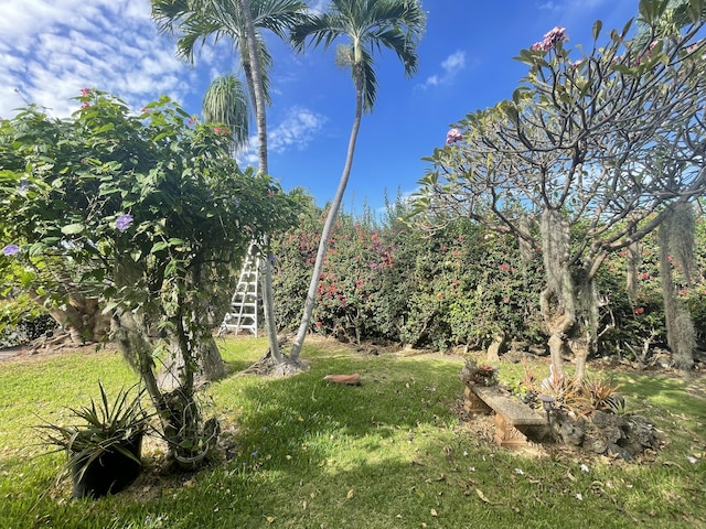 76-197 Kealoha St, Kailua-Kona, HI 96740 - view of grassy yard