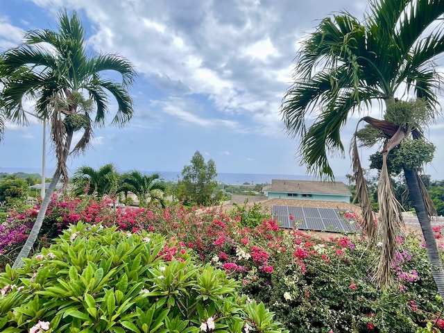 76-197 Kealoha St, Kailua-Kona, HI 96740 - view of yard