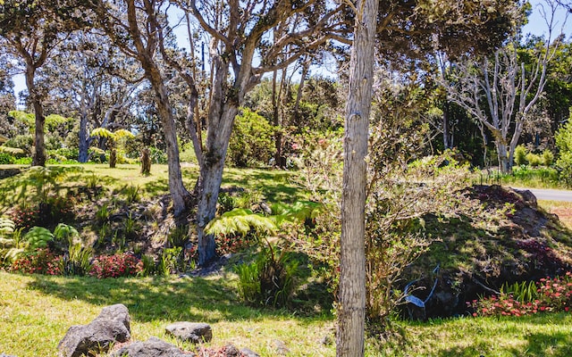 99-1856 Painiu Loop, Volcano, HI 96785 - photo 28