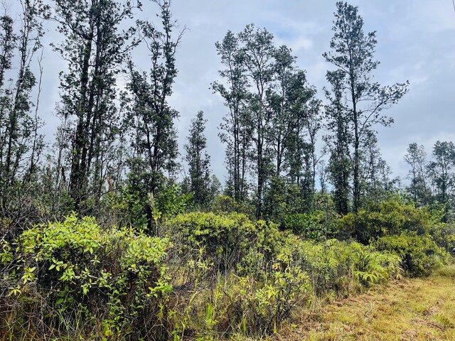 16-1853 Moho Rd, Mountain View, HI 96771