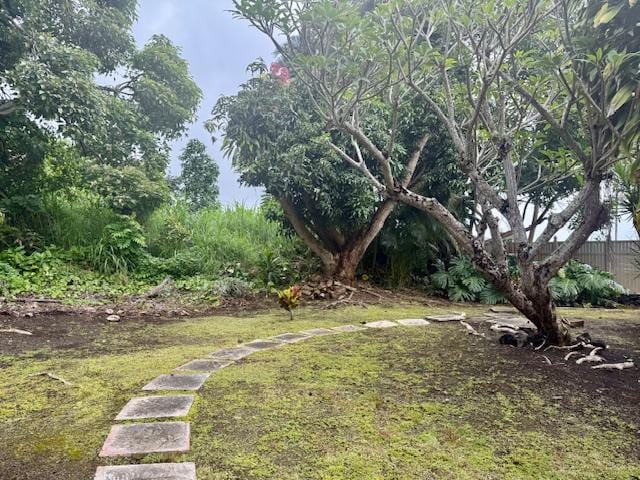73-1404 Kaiminani Dr, Kailua-Kona, HI 96740 - photo 18