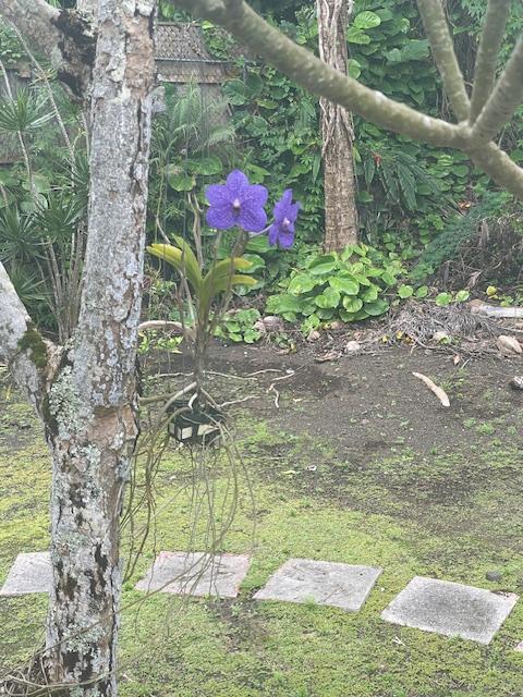 73-1404 Kaiminani Dr, Kailua-Kona, HI 96740 - photo 26