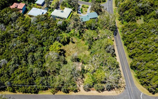 99-7810 Kaohelo Pl, Volcano, HI 96785 - photo 1