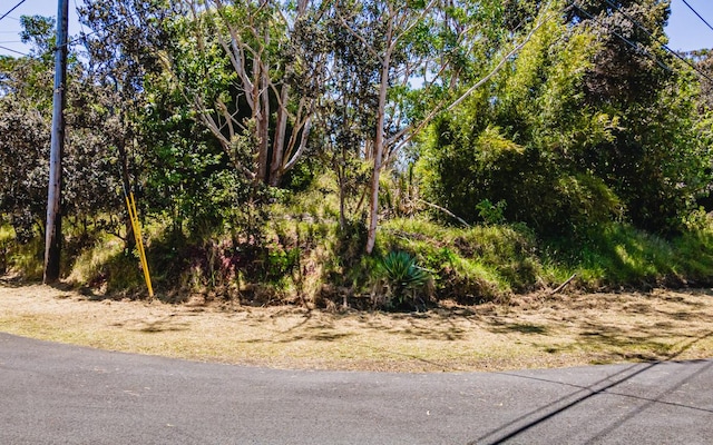 99-7810 Kaohelo Pl, Volcano, HI 96785 - photo 3
