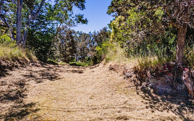 99-7810 Kaohelo Pl, Volcano, HI 96785 - photo 7