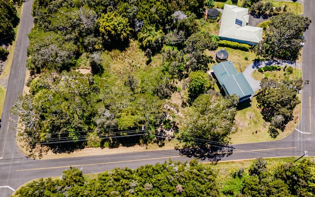 99-7810 Kaohelo Pl, Volcano, HI 96785 - photo 2