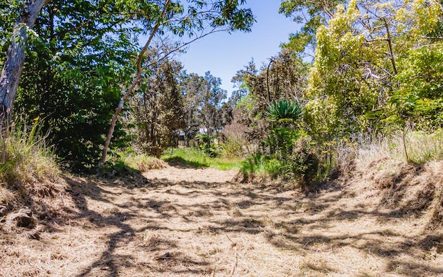 99-7810 Kaohelo Pl, Volcano, HI 96785 - photo 11