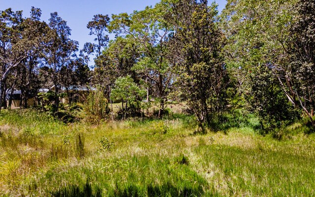 99-7810 Kaohelo Pl, Volcano, HI 96785 - photo 13