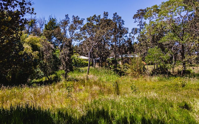 99-7810 Kaohelo Pl, Volcano, HI 96785 - photo 14