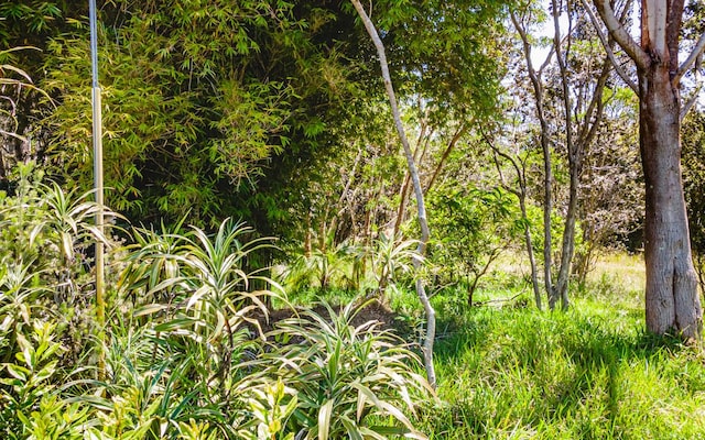 99-7810 Kaohelo Pl, Volcano, HI 96785 - photo 6