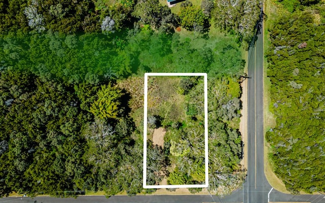 99-7810 Kaohelo Pl, Volcano, HI 96785 - photo 4