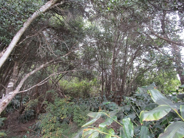 99-7728 Pukeawe Pl, Volcano, HI 96785