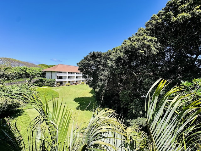 2253 Poipu Rd Unit 446, Koloa, HI 96756 - view of grassy yard