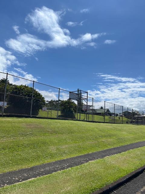 470 Hoopuni St, Hilo, HI 96720 - view of yard