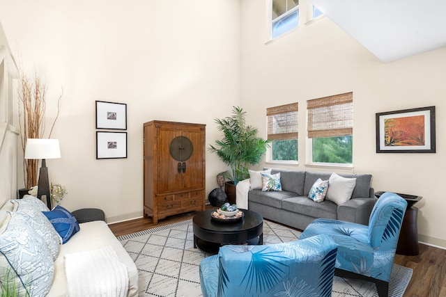 69-1033 Nawahine Pl Unit 1G, Waikoloa, HI 96738 - living room with wood finished floors, plenty of natural light, a towering ceiling, and baseboards