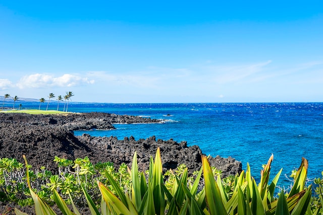 69-1033 Nawahine Pl Unit 1G, Waikoloa, HI 96738 - water view